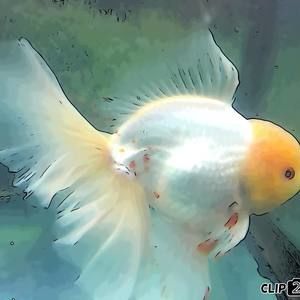 Meet your Posher, Lillian